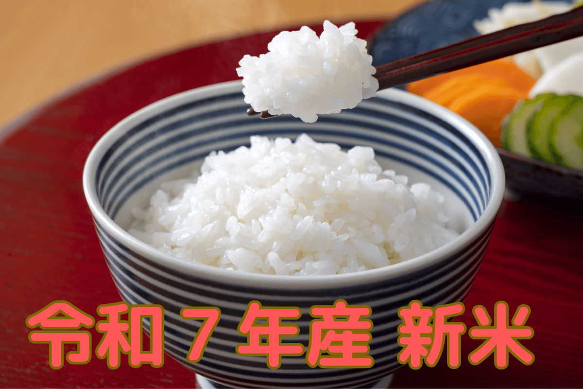 千葉県でのみ栽培貴重米ふさおとめ